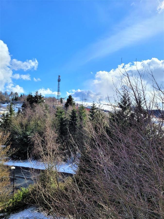 21122 Apartment Winterberg